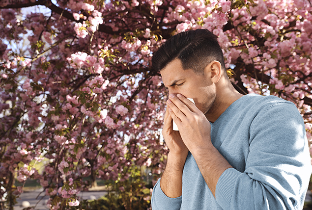 A man blows his nose in front of a blooming cherry blossom tree.