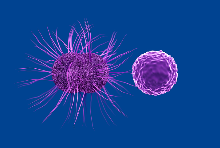 chlamydia-and-gonorrhea-similarities-and-differences