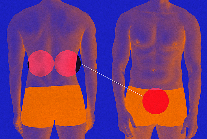 Another Reason to Keep Your Kidneys Healthy Erectile Dysfunction