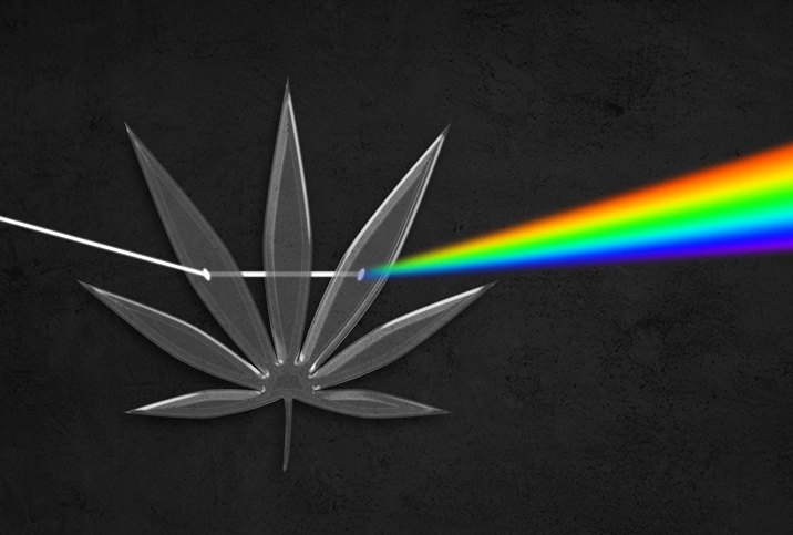 colored weed smoke black background