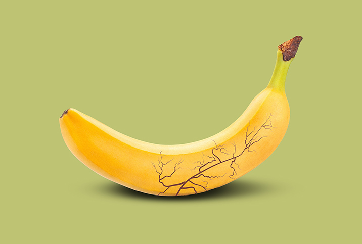 A banana with a darkened and swollen vein.