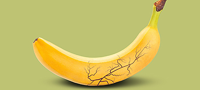 A banana with a darkened and swollen vein.