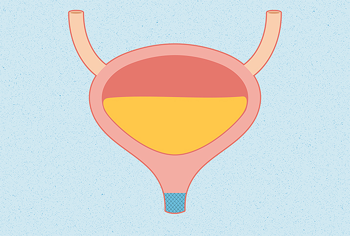 Why I can't hold my urine? Menopause & Urinary Incontinence - Elle Muse