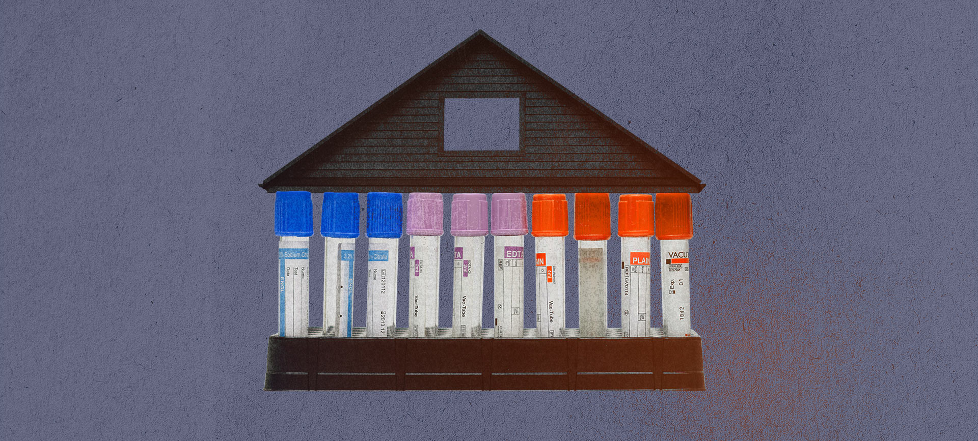 A row of test tubes form the walls of a house.