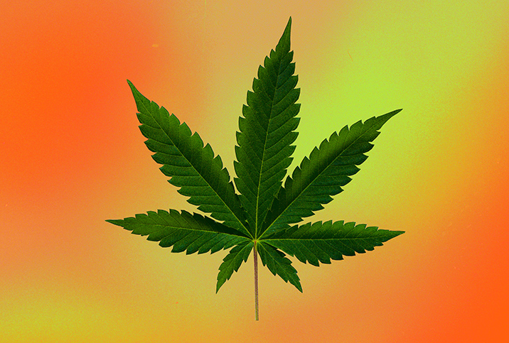A marijuana leaf in front of an orange and yellow background.