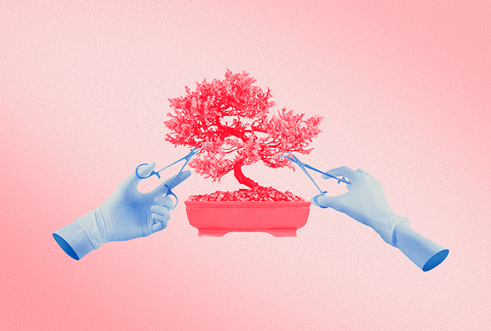 A pair of surgical gloves uses medical shears to trip a pink bonsai tree.