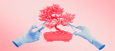 A pair of surgical gloves uses medical shears to trip a pink bonsai tree.