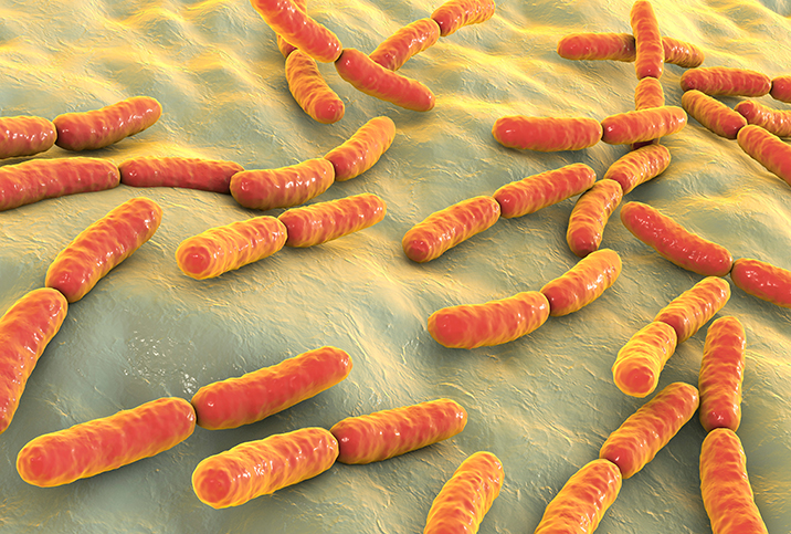 Various bacteria linked to aggressive prostate cancer are shown in orange.