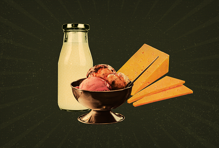 A bottle of milk, ice cream, and cheese sit against a brown background.