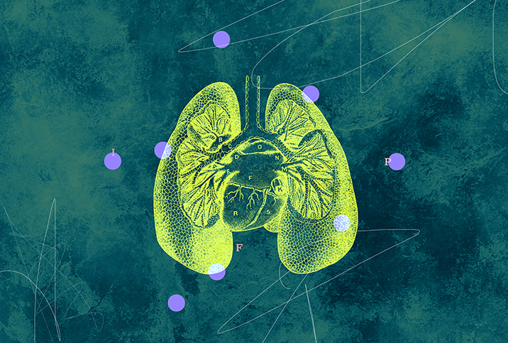 A yellow outline of the lungs and heart area is spotted with pink circles against a green background.