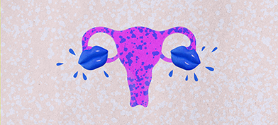 A purple female reproductive system has two blue lips over the ovaries.