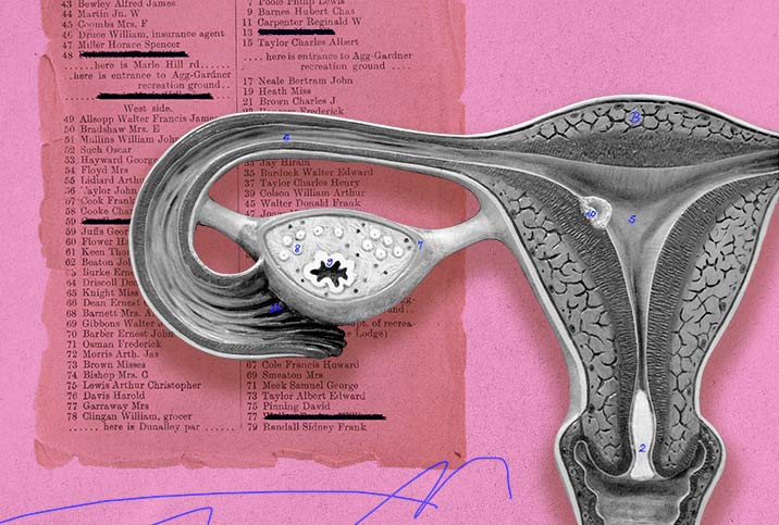 A map of the female uterus is outlined with numbers at different parts with a pink textbook page behind it.