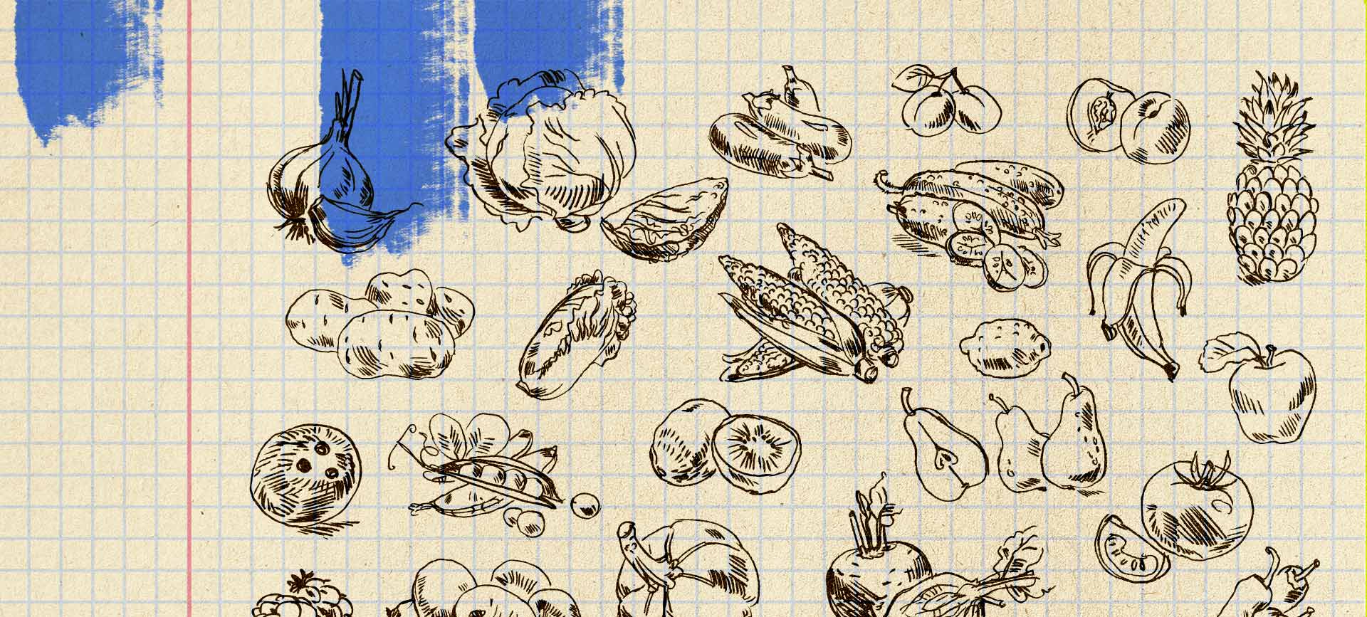 Different foods that are good for those with PCOS are sketched on a grid paper.