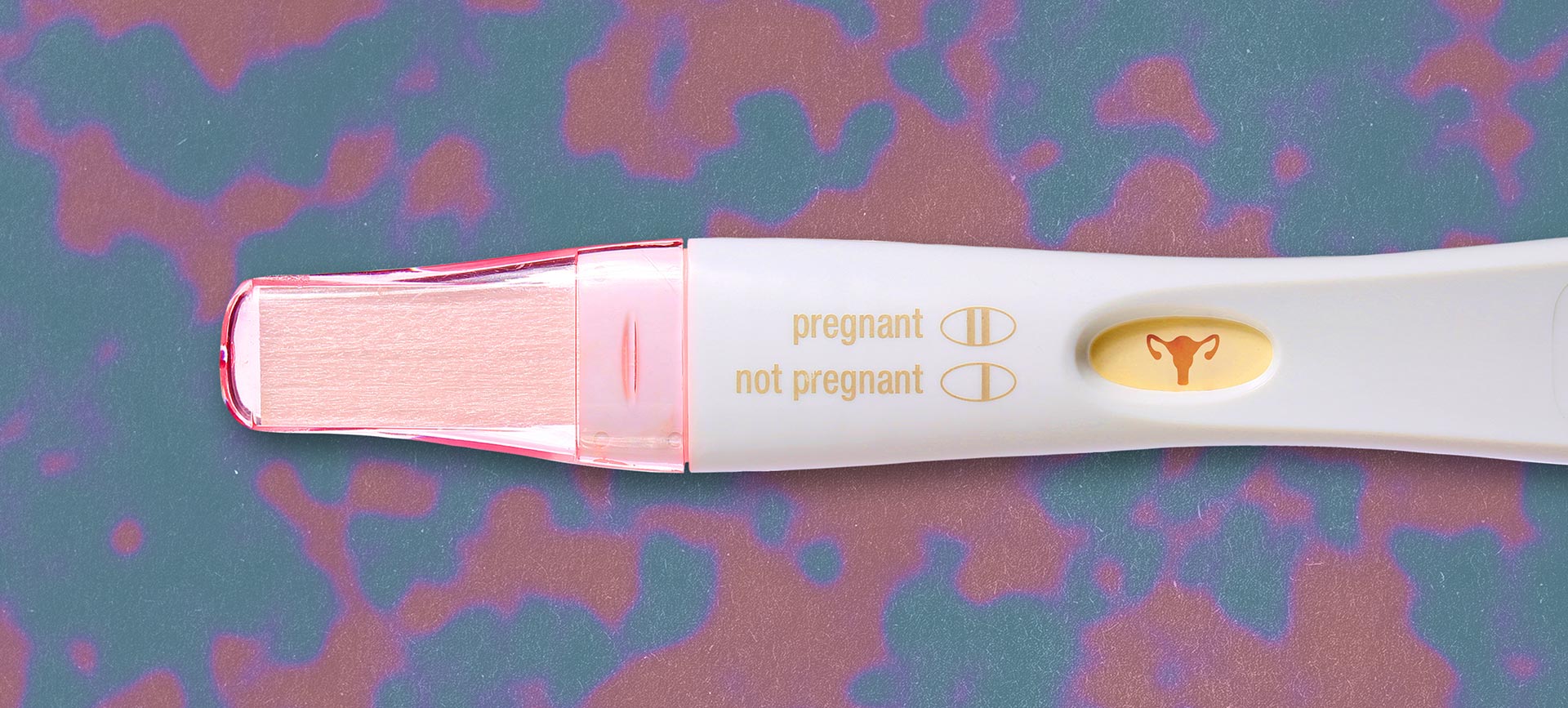 A pregnancy test with an icon of the female reproductive system is against a red and purple background.