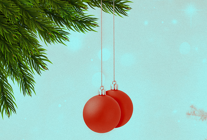 Two red bobbles hang on-strings from a Christmas tree branch.