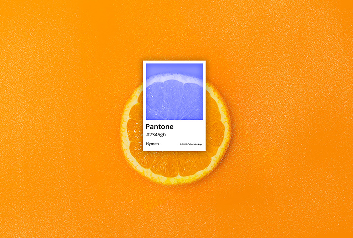 A Pantone color sheet for hymen is on top of a circle slice of orange.