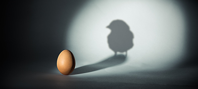 An egg under a spotlight casts a shadow of a chick against the wall.