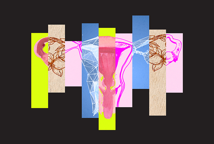 Various illustrations of the female reproductive system are collaged together against a black background.