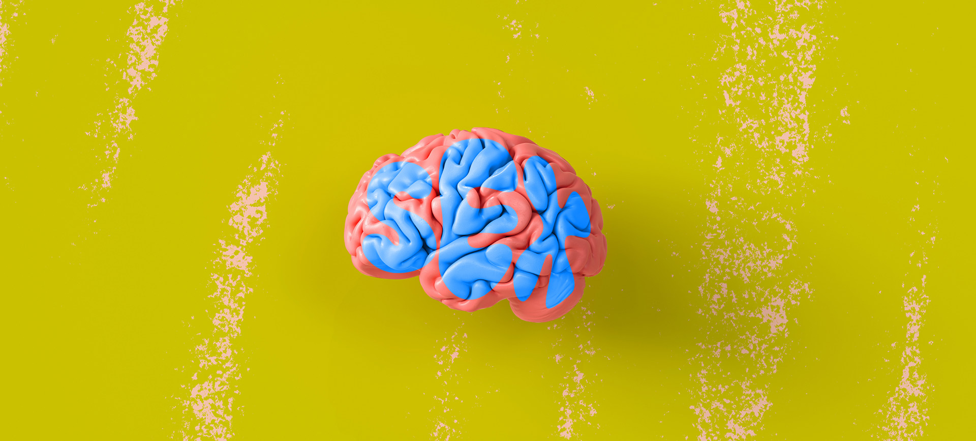 A pink brain sits against a yellow background with the word sex written over it in blue.