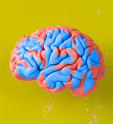 A pink brain sits against a yellow background with the word sex written over it in blue.