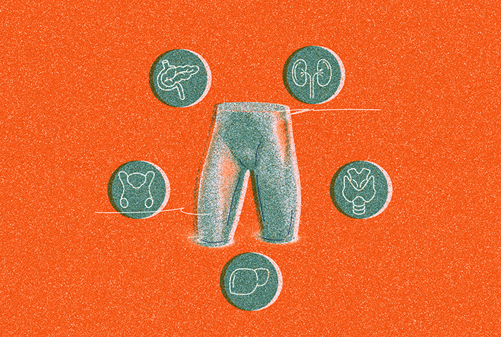 On top of an orange background, a green drawing of a human crotch and thighs is surrounded by five outlined organs in green circles.