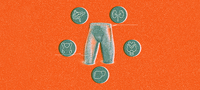 On top of an orange background, a green drawing of a human crotch and thighs is surrounded by five outlined organs in green circles.