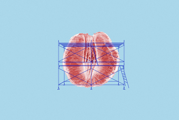 Half of an peeled grapefruit sits against a blue background with scaffolding around it.