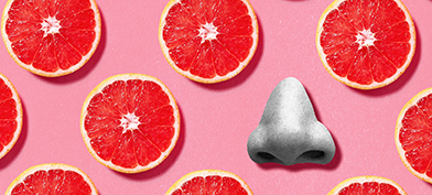 Slices of grapefruit lay against a pink background next to a grey nose.