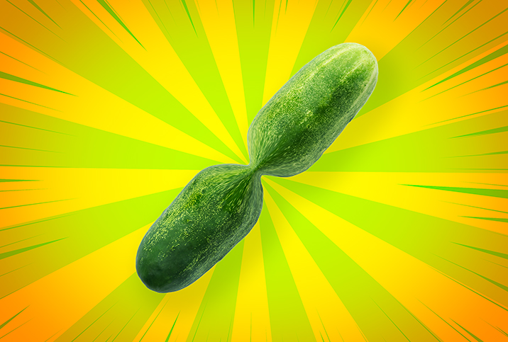 A zucchini with a pinched center has bright green and yellow beams shining from the hourglass shape.