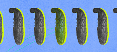 Five pickles are lined up in a row against a blue background with one side curving to the left.