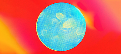 Tiny bumps on the skin of a penis are viewed through a blue microscopic lens against a red and yellow background.