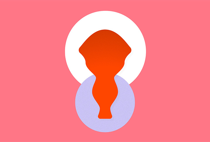A red shape on a pink background depicts a uterus and vagina.