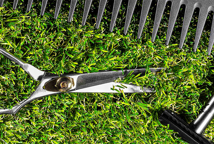 Grooming tools lay in the grass under the sun.