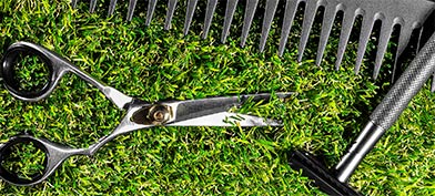 Grooming tools lay in the grass under the sun.