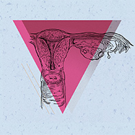 One side of the female reproductive system has a pink, upside-down triangle over top.