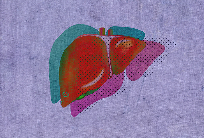 A red liver is casting a pink shadow and a teal shadow against a purple background.