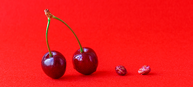 A pair of cherries on stems is on the left and a pair of cherry pits is on the right.