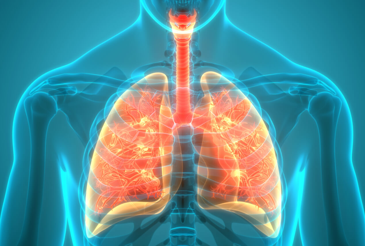 An x-ray shows the human lungs glowing orange inside of a blue body.