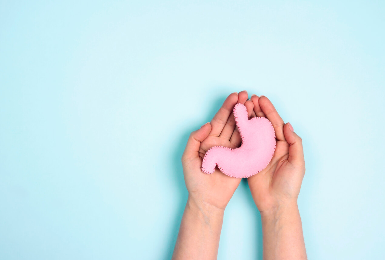 A cloth model of the intestines sit in palms of someone's hands.