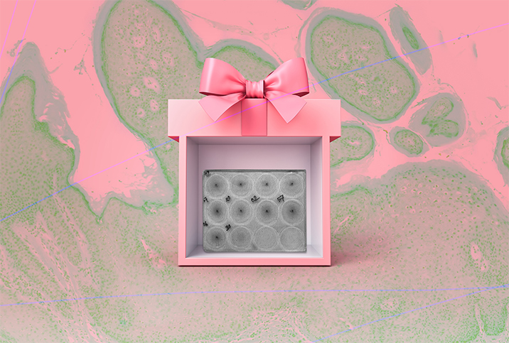 A pink gift box is open on the front side to show an STI screening test.