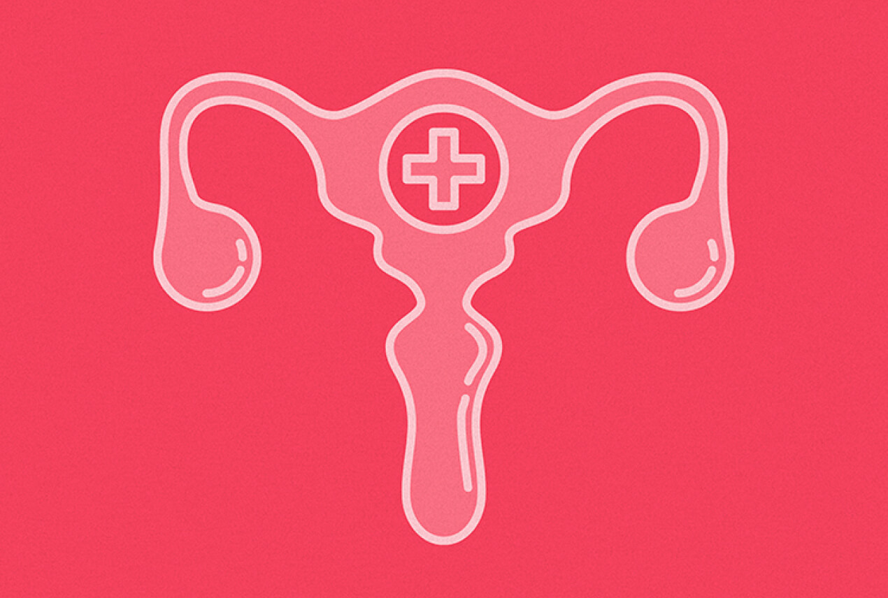 The female reproductive system is drawn in white on a pink background.