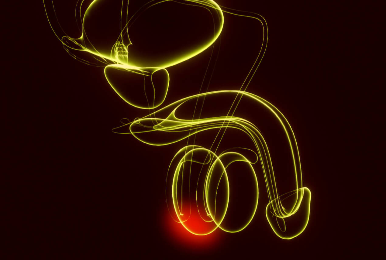 A neon yellow outline of the male reproductive system highlights the testicles with a glowing, red spot.