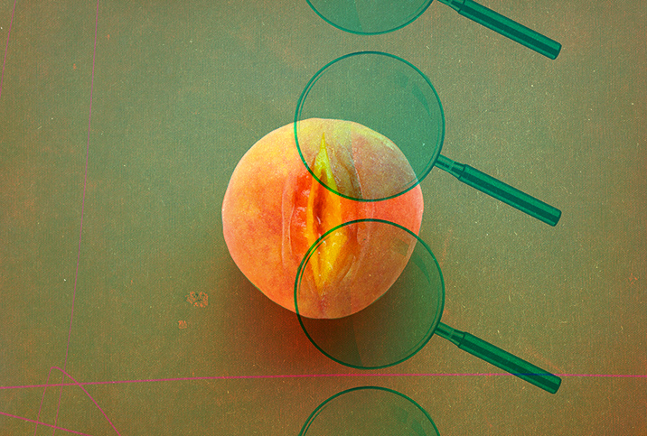 A peach has a large cut down the center of it as a patter of green magnifying glasses layer over it.