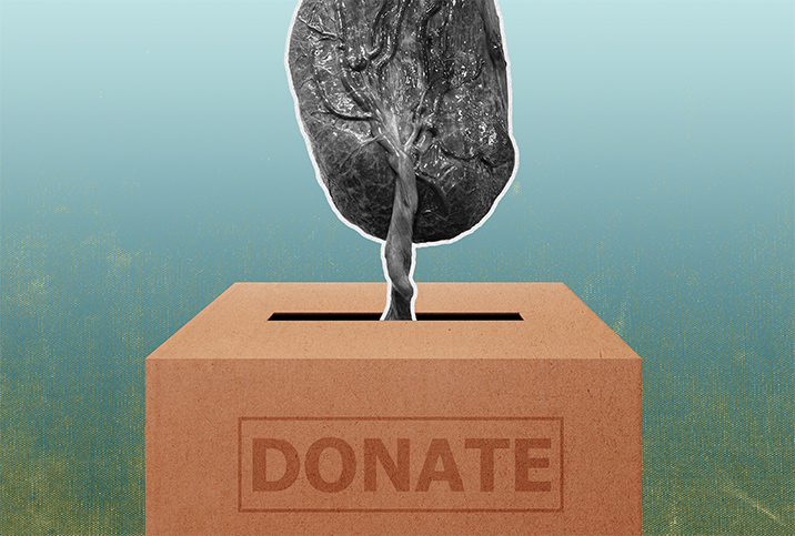 A placenta lowers chord first into a brown donation box.