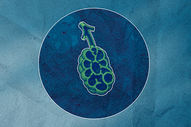 A green outline of a lung is inside of a blue circle against a light blue background.