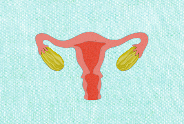 The green ovaries on a pink reproductive system change color as they gradually shrink in size.