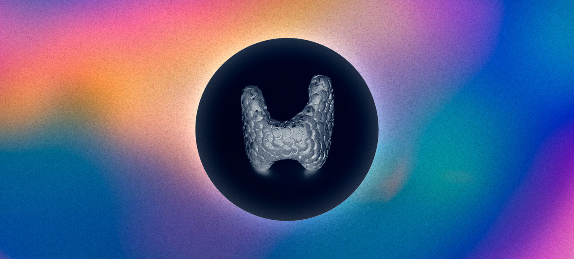 A grey thyroid is in the middle of a black circle against a multicolored background.