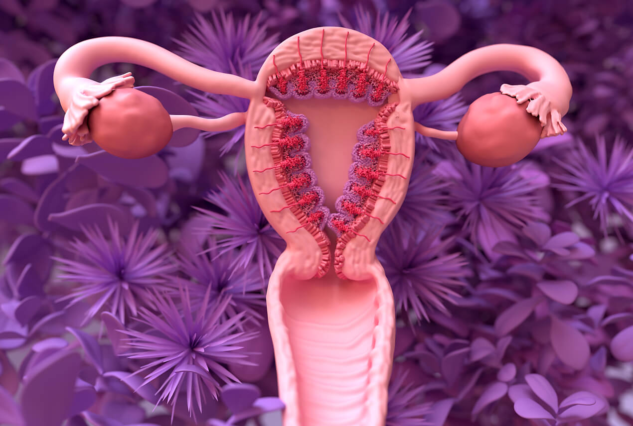 A model of the female reproductive system is in pink against a background of purple flowers.