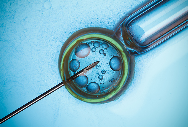 In vitro fertilization