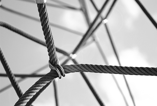 Ropes are bound together by a metal hook.